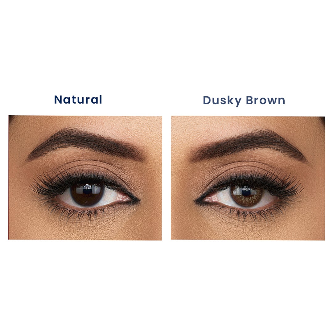 Aquacolor Zero Power Daily Disposable Combo spicy gray ,dusky brown & mystery brown
