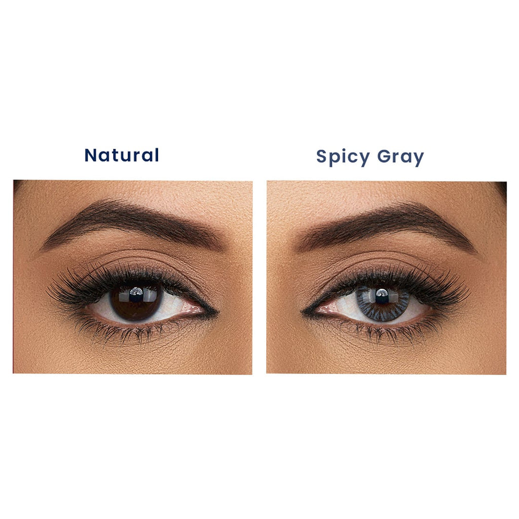 Aquacolor Zero Power Daily Disposable Combo spicy gray ,stormy gray & mocha brown